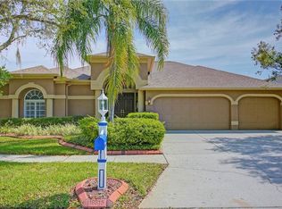 19315 Pier Point Ct, Lutz, FL 33558