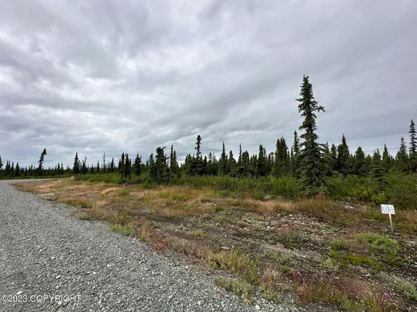 49640 S Timberwolf Rd, Sutton, AK 99674