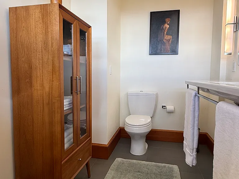 The Primary Bathroom has a cabinet for storage. It is also 'A room with a view'.