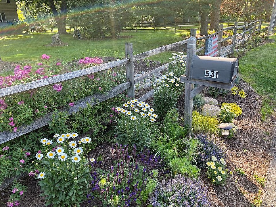 Bioswale pollinator garden