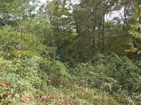 5th image of 1055 County Road 92