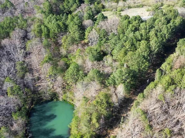 1810 King Rd #12, Oneonta, AL 35121
