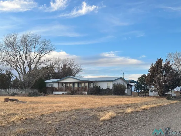 2901 540th Loop, Logan, NM 88426