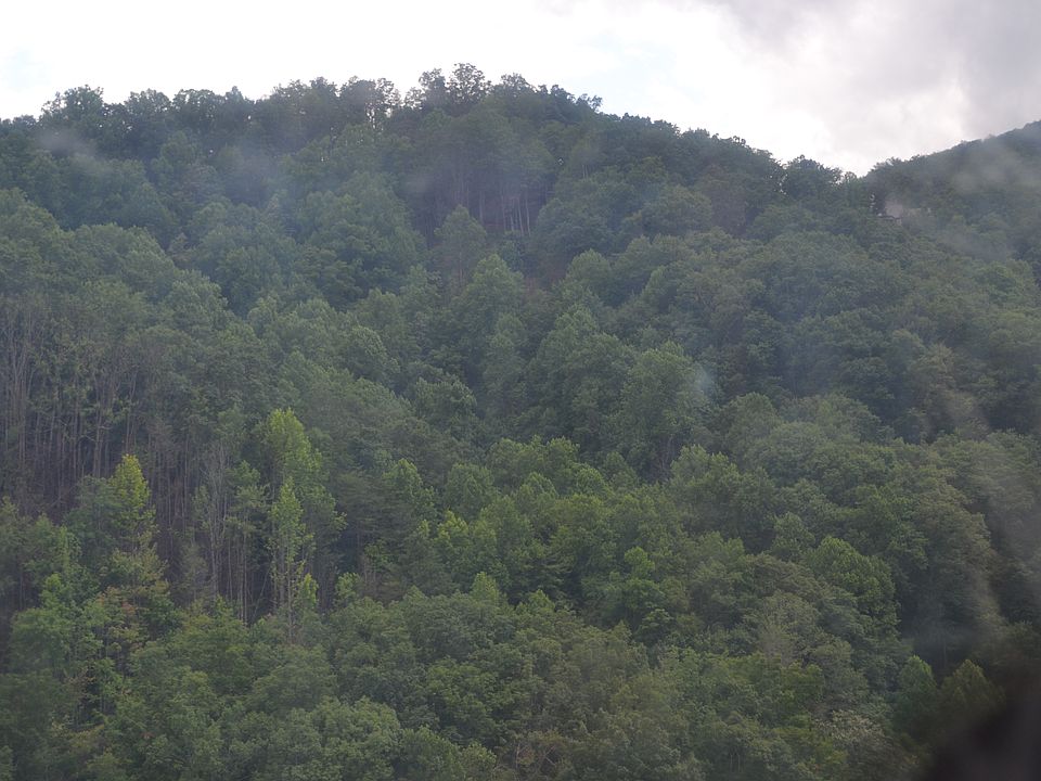 1st image of 3212 W Cypress Creek Dr