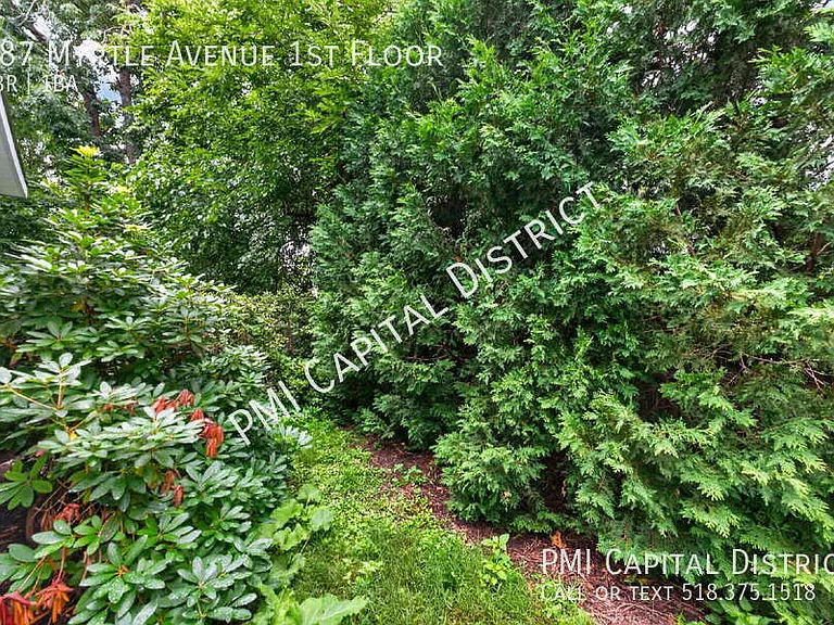 687 Myrtle Ave #1 — Photo 21
