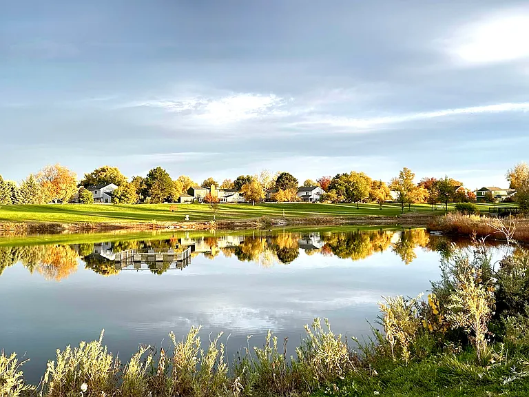 Large pond in nearby park