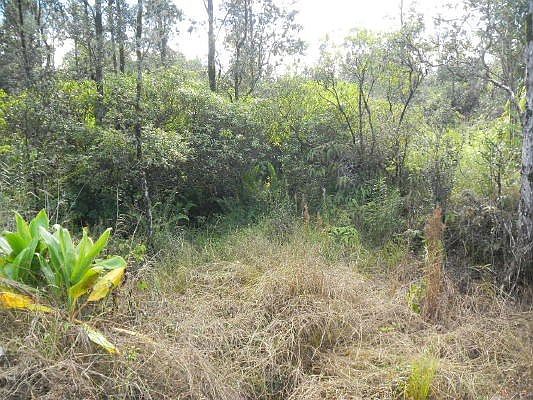 5th image of Road 8 Moho Lot 4298