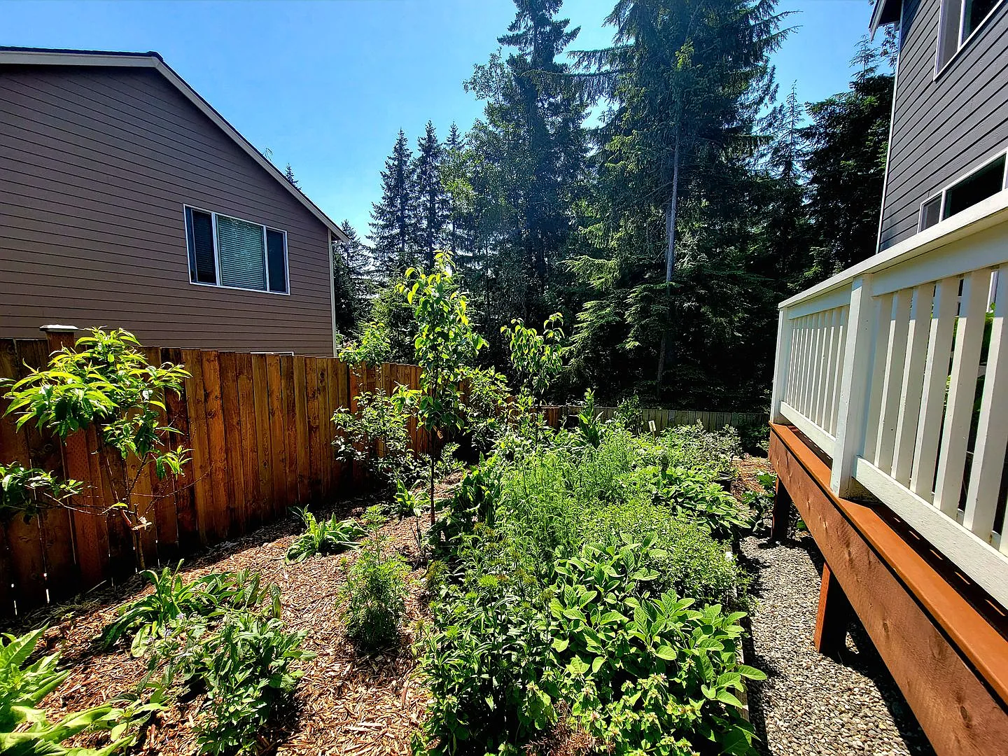 Beautiful 3 bed in CK school district — Photo 3