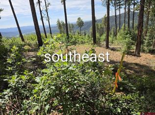 1621 Rosalie Drive, Durango, CO 81301
