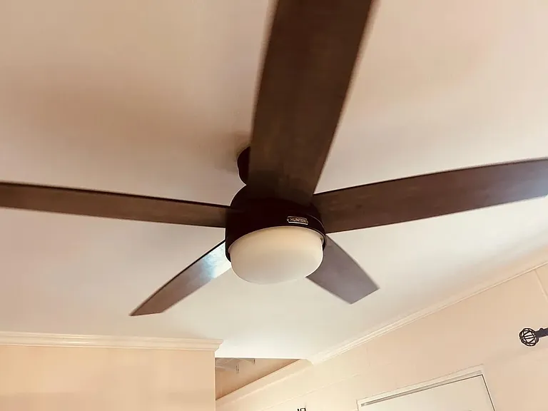 Ceiling fan