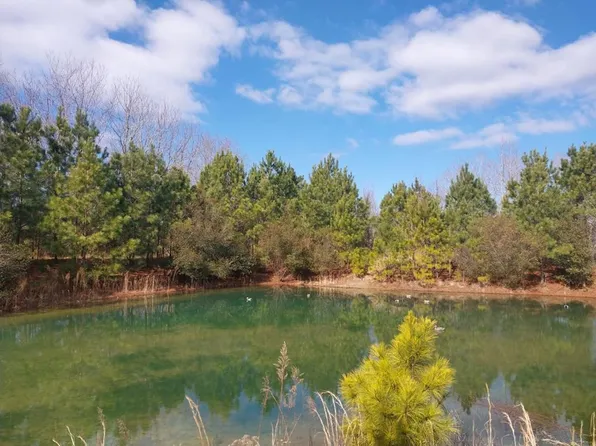 LOT-64F Belote Farm Ln, Melfa, VA 23410