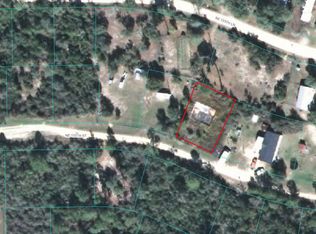 21363 NE 135th St, Salt Springs, FL 32134