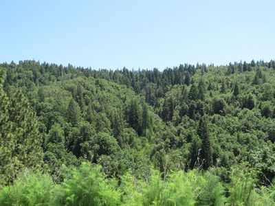 Moody Ridge Rd, Alta, CA, 95701