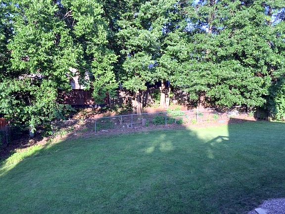 Tree lined yard