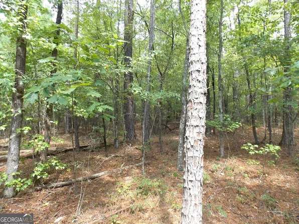 0 Lbk Rd #32C, Tignall, GA 30668