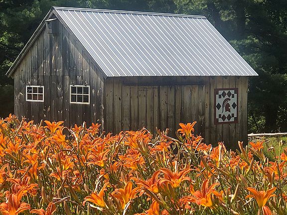Detached shed
