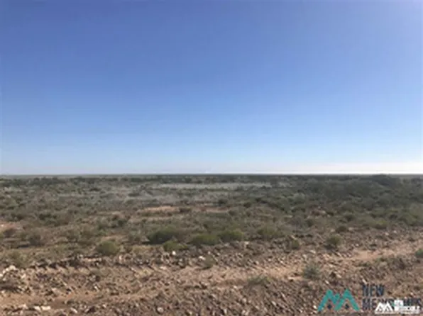 130 Des Moines Rd, Hagerman, NM 88232