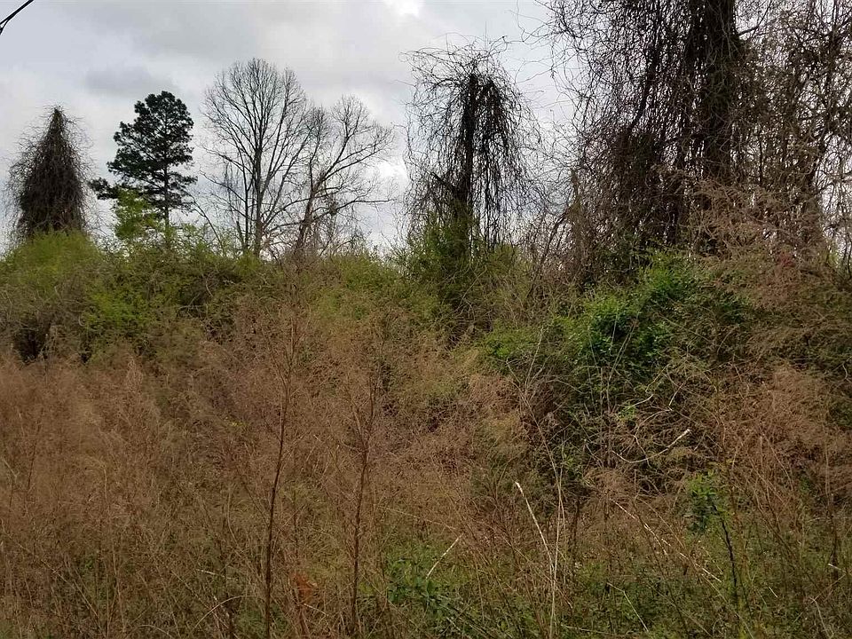 2nd image of 2355 Morris Rd