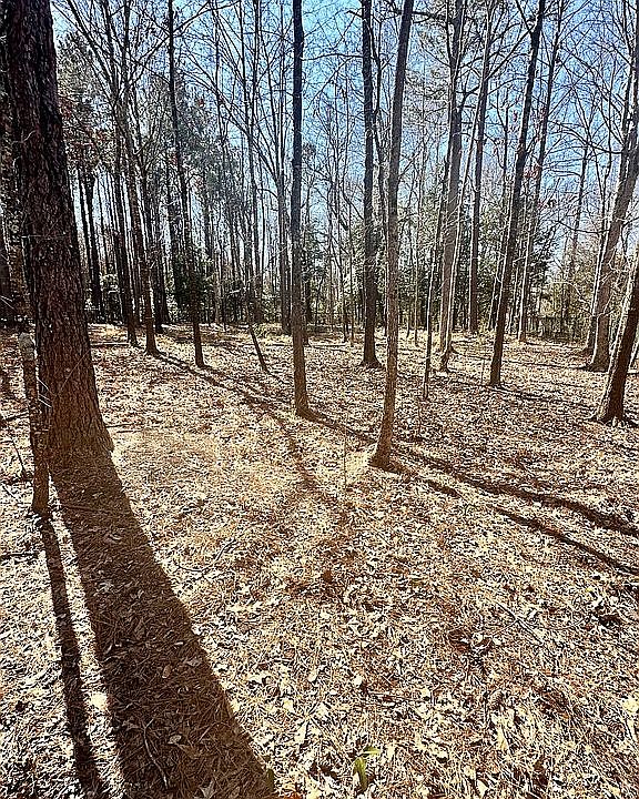 2nd image of 1004 Snow Peak Ct
