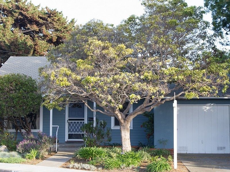 1st image of 3313 Wisteria Dr