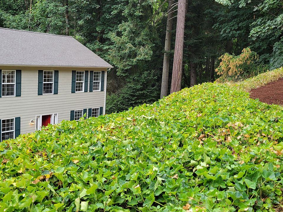 1st image of 2409 W Lynnwood Dr