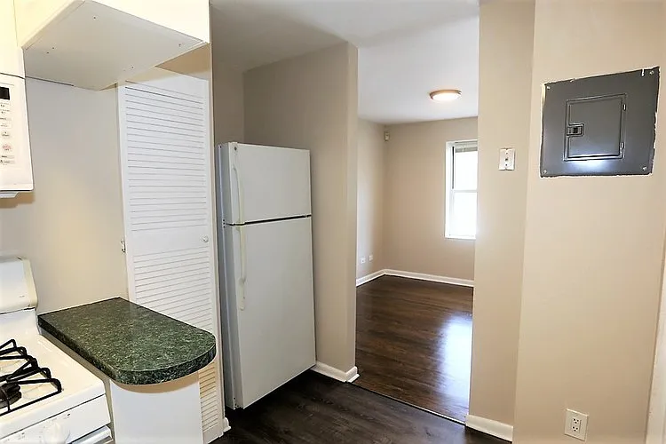 3517-21 W Grace St #1W — Photo 13