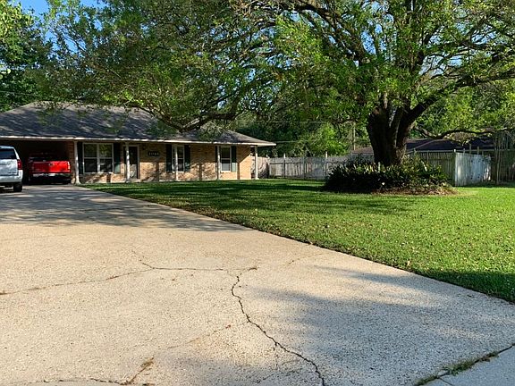 Large live oak tree in the front yard.