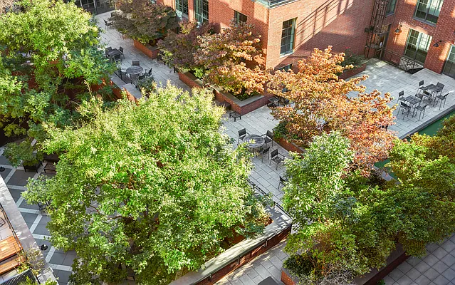 Rented by Mack Property Management | media 9