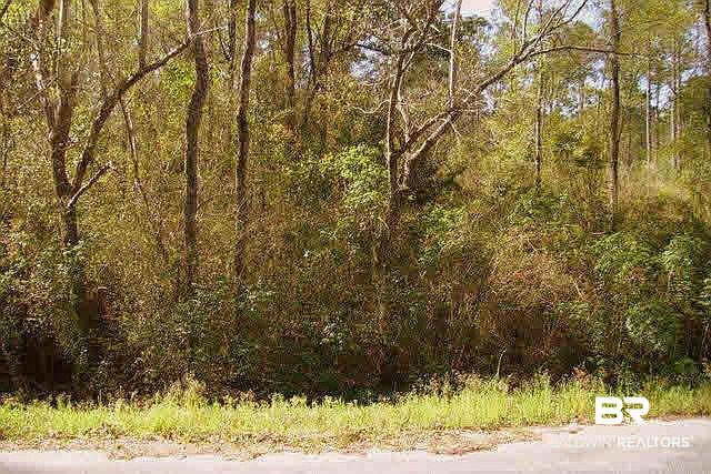 1st image of 0 Perone Creek Ln