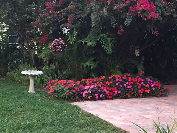 Garden and patio