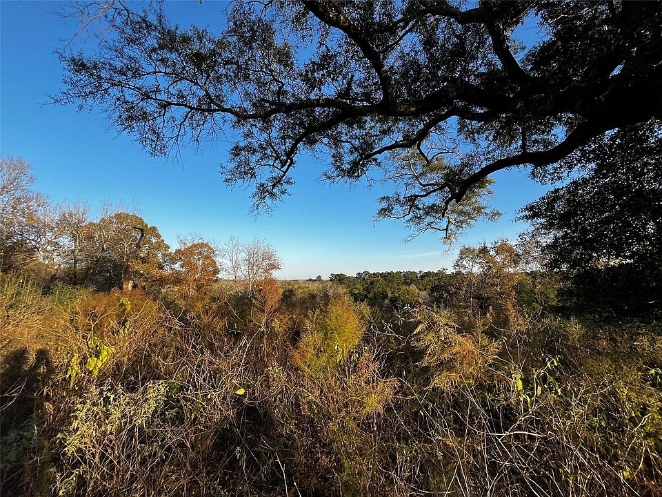 1st image of 231 County Road 2190
