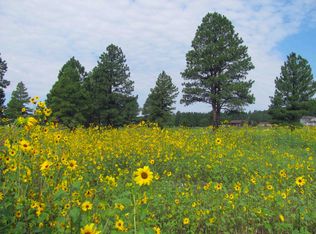 169 Fairway Dr, Williams, AZ 86046