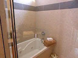 Dual sinks, brushed nickel fixtures and granite counters in master bath.