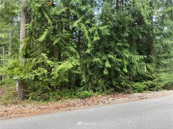 18545 Woodside Dr SE, Yelm, WA 98597