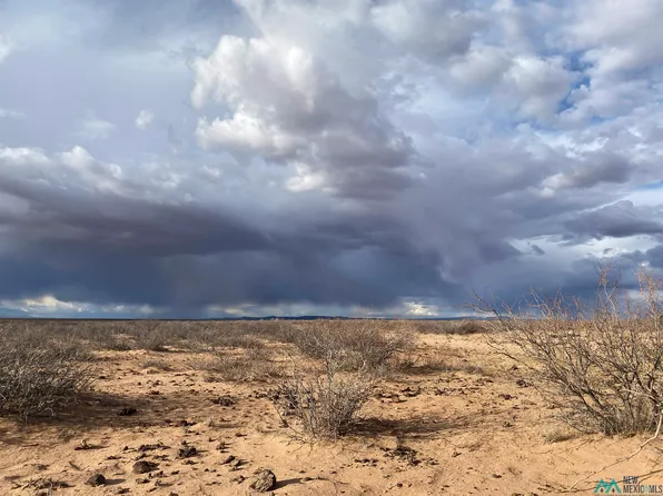 0 Hondale Rd SE, Deming, NM 88030