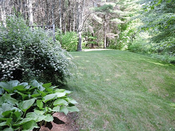 Large and private yard