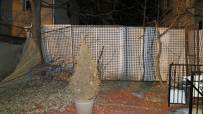 Rented by Lifestyle Realty | media 43