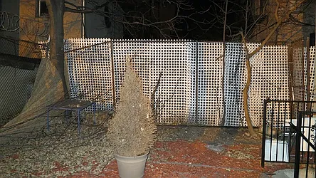 Rented by Lifestyle Realty