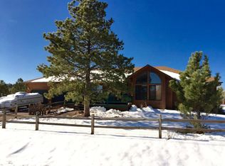 551 Taopi Ln, Woodland Park, CO 80863