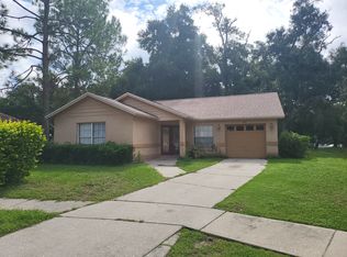 203 Benson St, Valrico, FL 33594