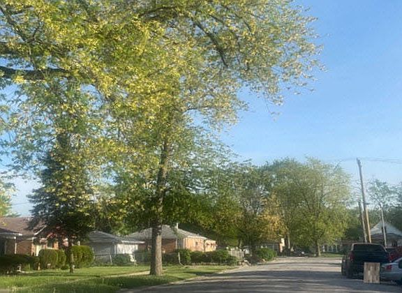 4th image of 15423 Winchester Ave