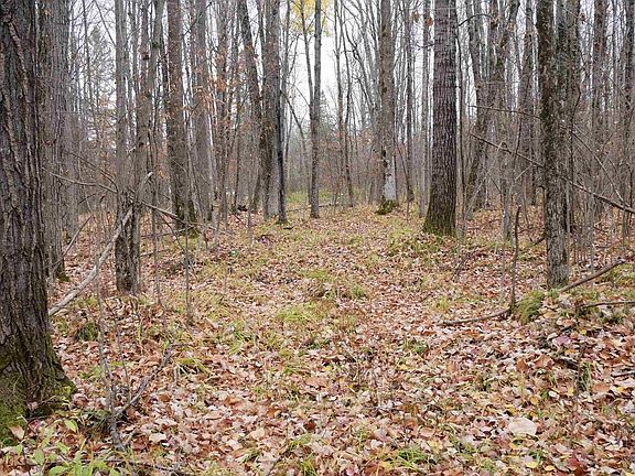 2nd image of 4.70 Acres US HIGHWAY 8