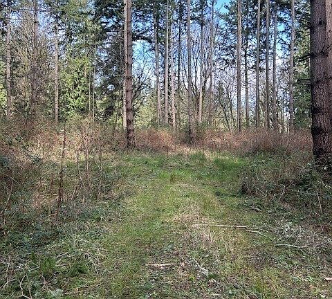 2nd image of 0 XXX Hellman Road