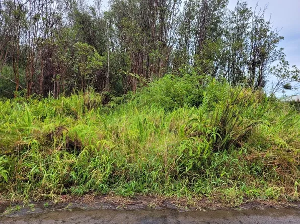 18-4192 Hulu St, Mountain View, HI 96785