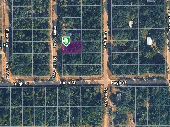 LOT 12 Martin Ave Lot 12, Interlachen, FL 32148