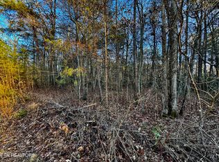 George Ln, Deer Lodge, TN 37726