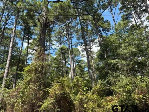 19317 State Highway 110 N, Troup, TX 75789