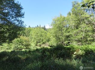 0 Salmon Creek Rd, Mossyrock, WA 98564