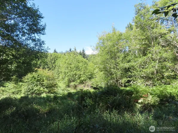 0 Salmon Creek Road, Mossyrock, WA 98564