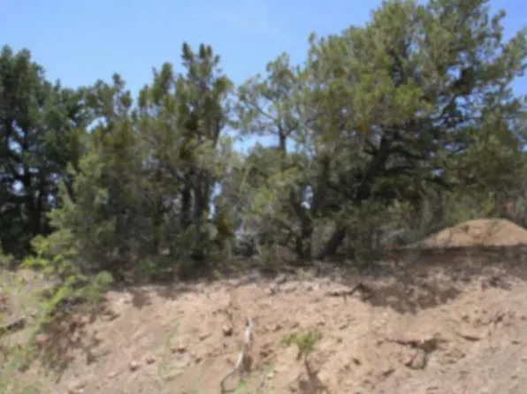 Olympio Ln, Tijeras, NM 87059